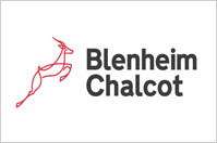 Blenheim Chalcot